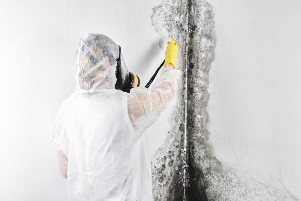 Water damage restoration experts in New Johnsonville, TN